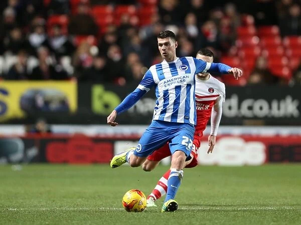 Danny Holla in Action: Charlton Athletic vs. Brighton & Hove Albion (The Valley, 10 January 2015)