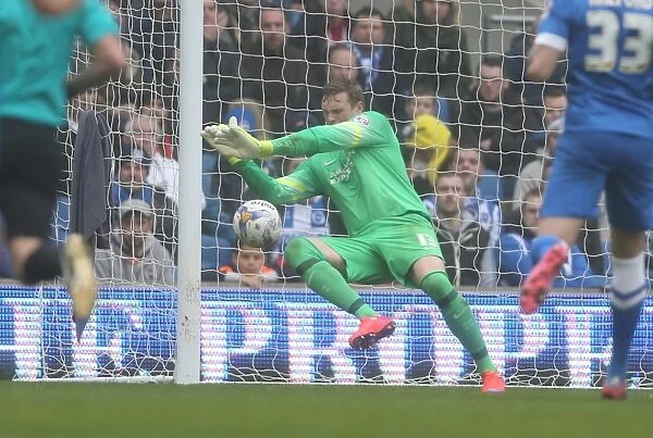 David Stockdale: In Action for Brighton & Hove Albion Against Norwich City (3rd April 2015)