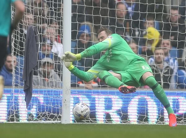 David Stockdale: In Action for Brighton & Hove Albion Against Norwich City (3rd April 2015)