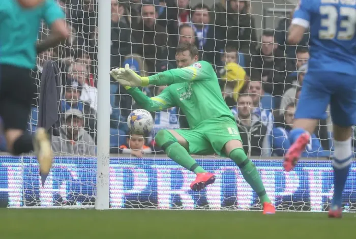 Framed Print : David Stockdale: In Action for Brighton & Hove Albion Against Norwich City (3rd April 2015)