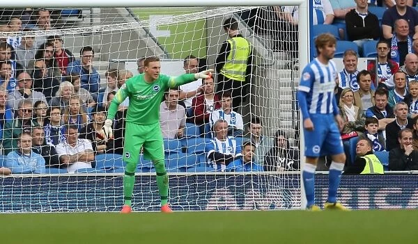 David Stockdale in Action: Brighton and Hove Albion vs. Middlesbrough, October 18, 2014