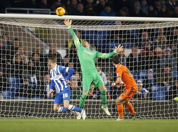 David Stockdale in Action: Brighton and Hove Albion vs Ipswich Town, Sky Bet Championship, American Express Community Stadium, January 2015