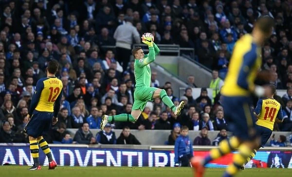 David Stockdale in Action: Brighton and Hove Albion vs Arsenal FA Cup Clash, January 2015