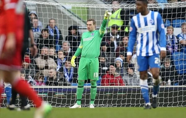 David Stockdale in Action: Brighton and Hove Albion vs. Nottingham Forest, Sky Bet Championship, 7th February 2015