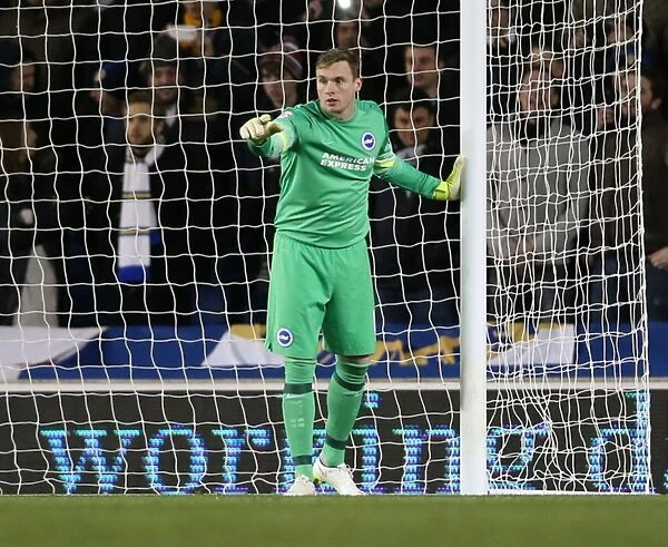 David Stockdale in Action: Brighton and Hove Albion vs Leeds United, 2015