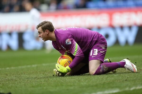David Stockdale: In Action for Brighton and Hove Albion vs. Bolton Wanderers, Sky Bet Championship (28th February 2015)