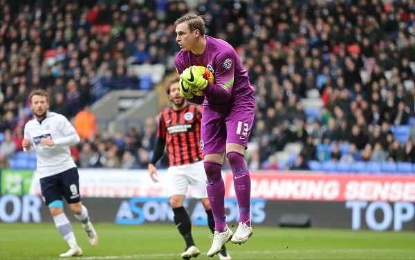 David Stockdale: In Action for Brighton and Hove Albion vs Bolton Wanderers, Sky Bet Championship 2015