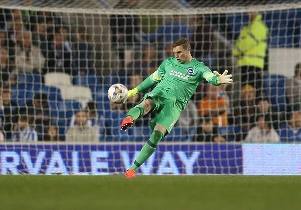 David Stockdale: In Action for Brighton and Hove Albion vs Huddersfield Town AFC, Sky Bet Championship, 14 April 2015