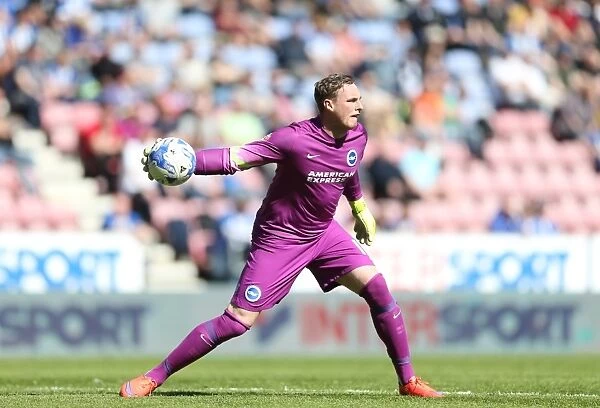 David Stockdale: In Action for Brighton and Hove Albion vs. Wigan Athletic, Sky Bet Championship (18th April 2015)