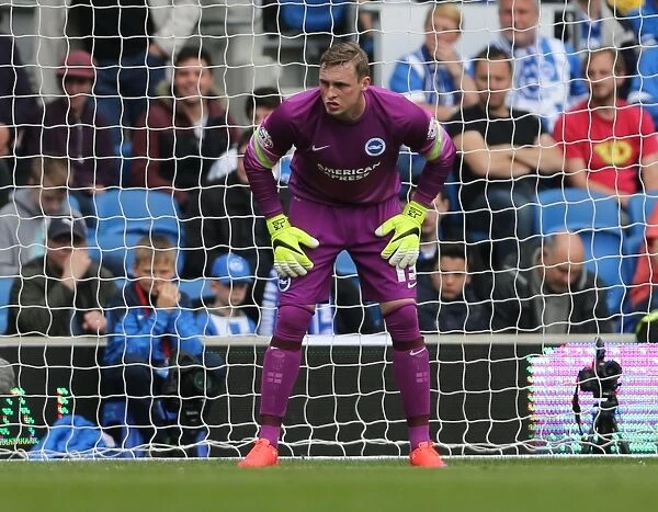 David Stockdale in Action: Brighton and Hove Albion vs. Watford, Sky Bet Championship 2015 (25APR15)