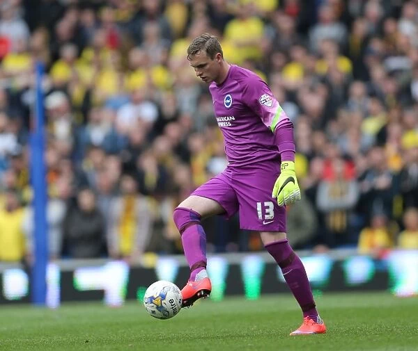 David Stockdale in Action: Brighton and Hove Albion vs. Watford, Sky Bet Championship 2015