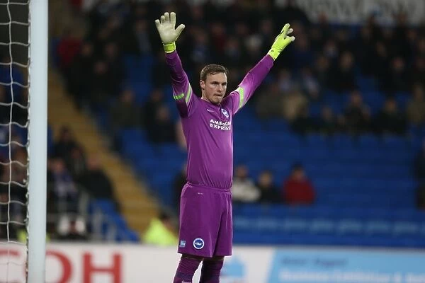 David Stockdale in Action: Cardiff City vs. Brighton and Hove Albion, Sky Bet Championship 2015