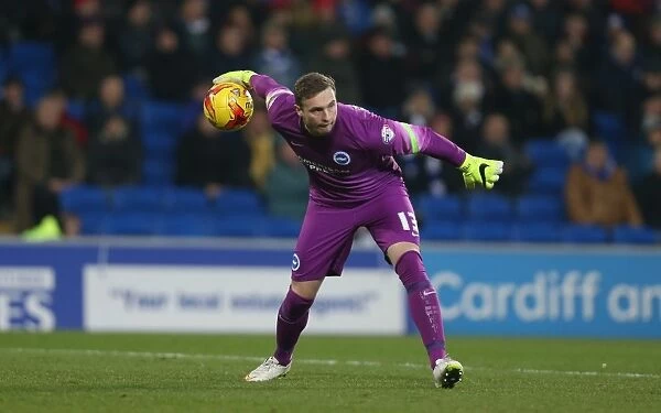 David Stockdale in Action: Cardiff City vs. Brighton and Hove Albion, Sky Bet Championship 2015 - Goalkeeper's Dramatic Performance