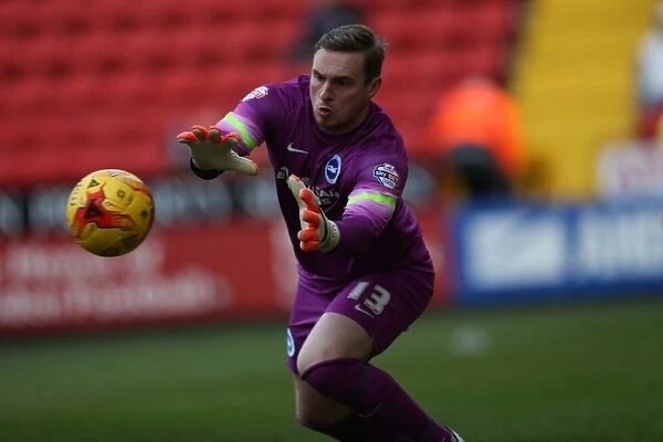 David Stockdale in Action: Charlton Athletic vs. Brighton and Hove Albion, The Valley, 2015
