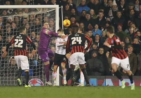 David Stockdale: In Action at Craven Cottage - Fulham vs. Brighton and Hove Albion, December 2014