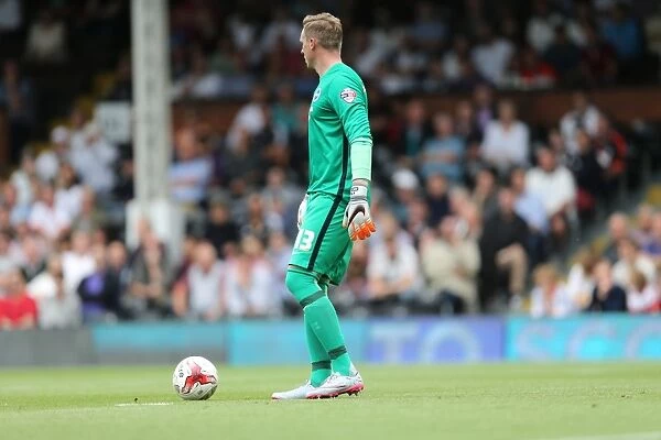 David Stockdale in Action: Fulham vs. Brighton and Hove Albion, Sky Bet Championship 2015 - Brighton Goalkeeper's Determined Performance