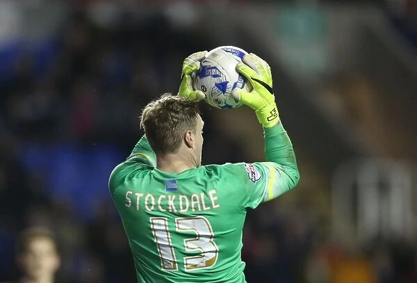 David Stockdale in Action: Reading vs. Brighton and Hove Albion, Sky Bet Championship 2015 - Goalkeeper's Dramatic Performance