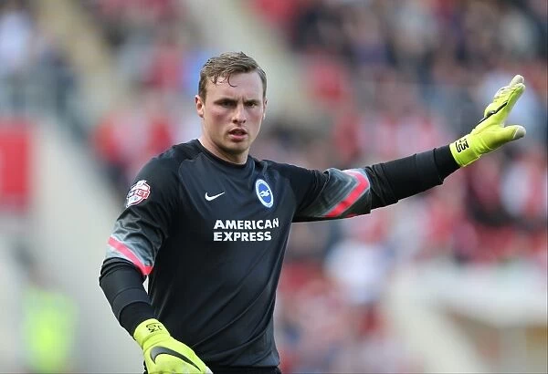 David Stockdale in Action: Rotherham United vs. Brighton and Hove Albion, Sky Bet Championship, 6th April 2015