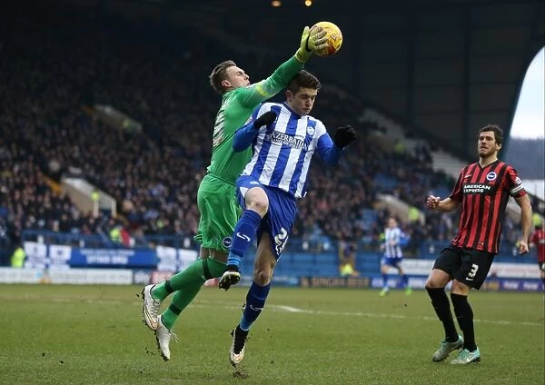 David Stockdale in Action: Sheffield Wednesday vs. Brighton & Hove Albion, Sky Bet Championship 2015 - Goalkeeper's Dramatic Performance