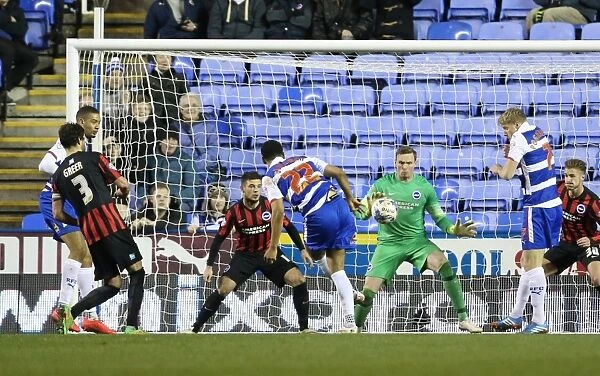 David Stockdale in Action: Sky Bet Championship Showdown between Reading and Brighton & Hove Albion (10th March 2015)