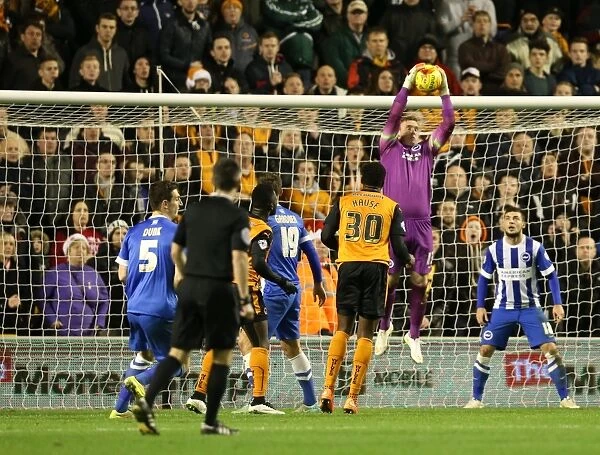 David Stockdale Faces Off Against Wolves: Wolverhampton Wanderers vs Brighton and Hove Albion, Sky Bet Championship, Molineux, 2014
