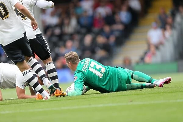 David Stockdale Focused: Brighton and Hove Albion Goalkeeper in Action against Fulham, Sky Bet Championship 2015