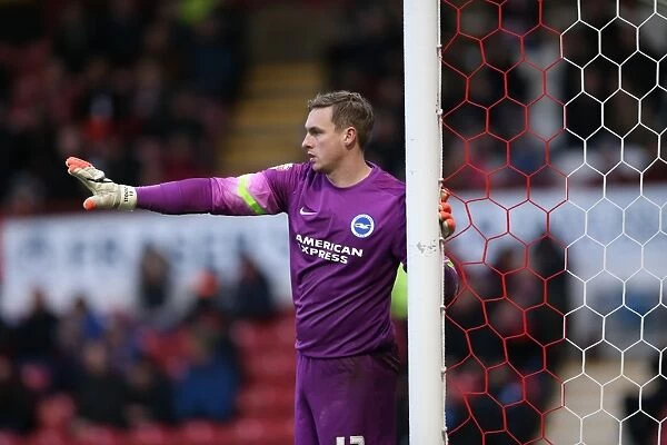 David Stockdale Focused: Brighton and Hove Albion vs. Brentford, FA Cup 3rd Round, Griffin Park, 2015
