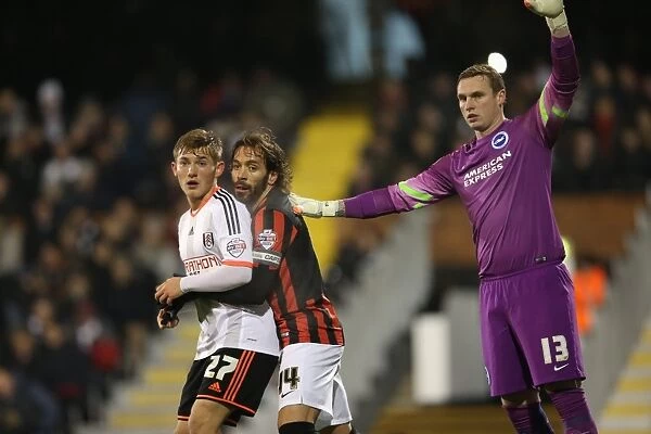 David Stockdale: Focused in the Heat of the Championship Clash - Fulham vs. Brighton and Hove Albion, December 2014
