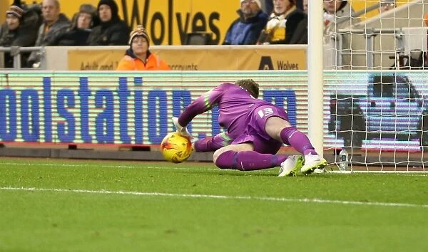 David Stockdale: Intense Concentration during Wolverhampton Wanderers vs. Brighton and Hove Albion, Sky Bet Championship, 2014