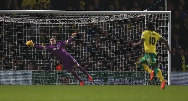 David Stockdale's Spectacular Saves: Norwich City vs. Brighton & Hove Albion (22NOV14)