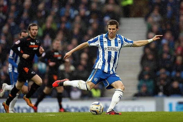 Dean Hammond in Action: Brighton & Hove Albion vs Derby County, Npower Championship, Amex Stadium (January 12, 2013)