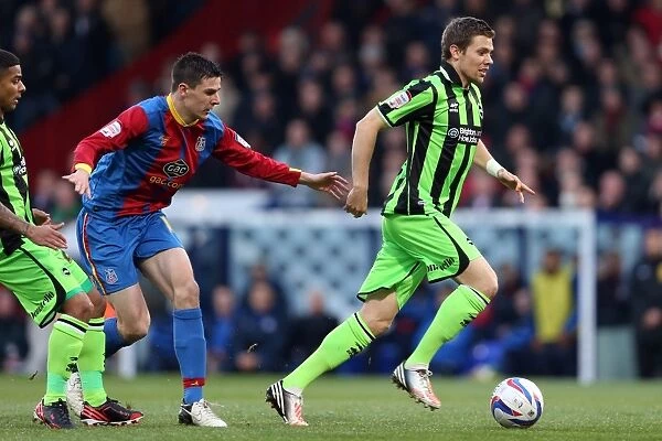 Dean Hammond of Brighton & Hove Albion in Action Against Crystal Palace, Npower Championship, December 1, 2012