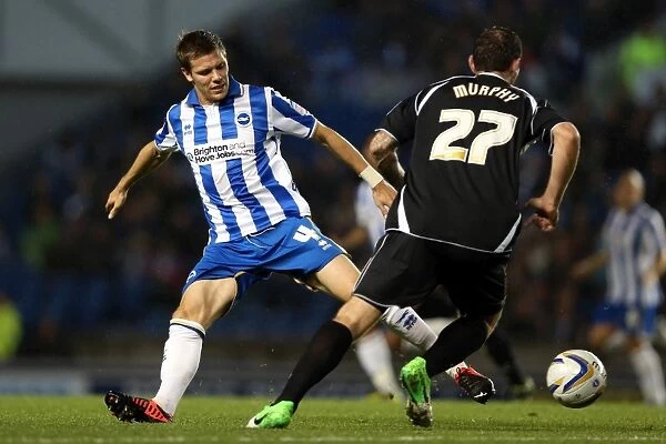 Dean Hammond Tackles Daryl Murphy in Intense Championship Clash between Brighton & Hove Albion and Ipswich Town (October 2012)