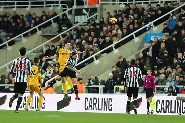 Decisive Battle: Newcastle United vs. Brighton and Hove Albion (30DEC17) - Lewis Dunk in Action