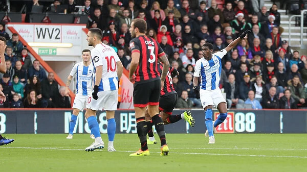 Decisive Moment: Brighton and Hove Albion Secure a Point Against AFC Bournemouth, Premier League, 22nd December 2018