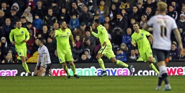 Decisive Moment: Sky Bet Championship Clash Between Derby County and Brighton & Hove Albion (12 / 12 / 2015)