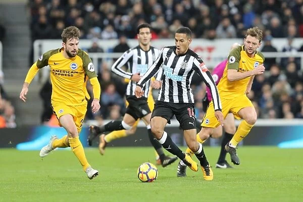 Decisive Moments at St. James Park: Newcastle United vs. Brighton and Hove Albion (30DEC17) - Premier League Showdown