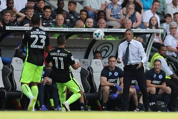 Derby County vs. Brighton and Hove Albion: EFL Sky Bet Championship Clash at iPro Stadium (06AUG16) - Intense Action from Championship Showdown