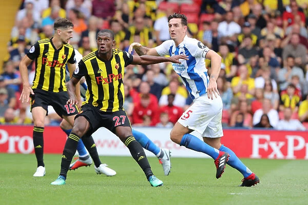 Dunk and Kabasele in Intense Clash: Watford vs. Brighton and Hove Albion, Premier League (11AUG18)