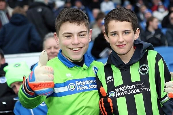 Electric Atmosphere at The Amex Stadium: Brighton & Hove Albion FC Crowd Shots (2012-2013)
