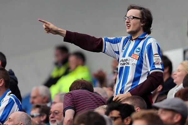The Electric Atmosphere of Brighton & Hove Albion Fans at Amex Stadium (2012-2013)