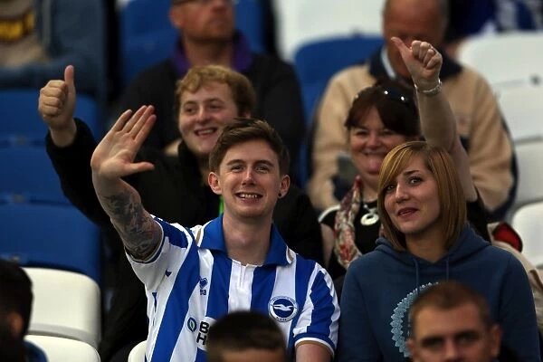 The Electric Atmosphere of Brighton & Hove Albion's Amex Stadium (2012-2013): A Season of Unforgettable Crowd Moments