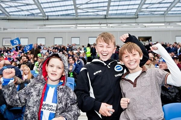 Electric Atmosphere: Unforgettable Crowd Shots from Brighton & Hove Albion's 2011-12 Season at The Amex Stadium