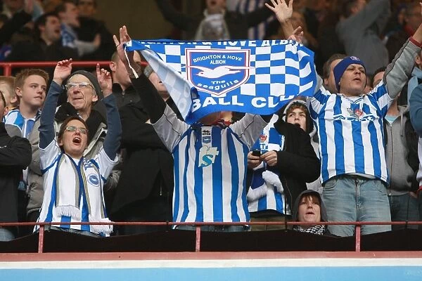 Electric FA Cup 4th Round Atmosphere: Brighton & Hove Albion at Villa Park, January 2010