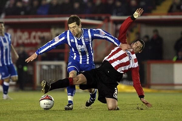 Exeter City. Brighton And Hove Albion Past Seasons