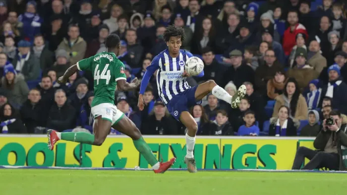 Framed Print : FA Cup 3rd Round: Brighton & Hove Albion vs. Sheffield Wednesday at American Express Community Stadium (04.01.2020) Framed Print : FA Cup 3rd Round: Brighton & Hove Albion vs. Sheffield Wednesday at American Express Community Stadium (04.01.2020)