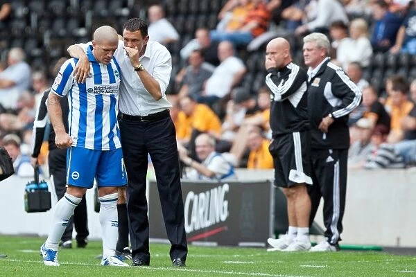 A Fight Breaks Out: Brighton & Hove Albion vs. Hull City (2012-13 Season, Away Game)