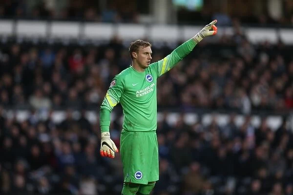Focused David Stockdale: Derby County vs. Brighton and Hove Albion, Sky Bet Championship, iPro Stadium, December 2014
