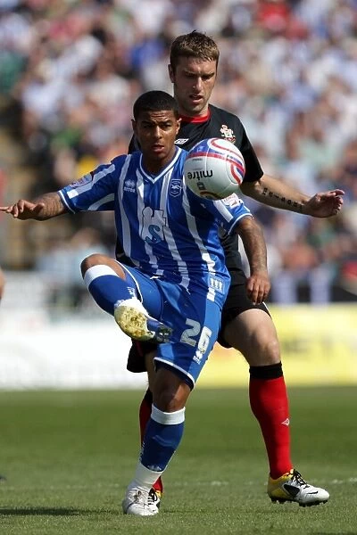 Focused and Determined: Liam Bridcutt of Brighton and Hove Albion FC