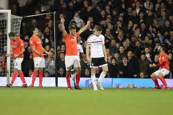 Fulham vs. Brighton and Hove Albion: EFL Sky Bet Championship Clash at Craven Cottage (02JAN17)